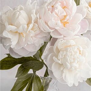 Meet your Posher, Raylyn